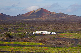 Weinbaugebiet La Geria am Fuß der Feuerberge, Lanzarote, Kanaren, Kanarische Inseln, Islas Canarias, Spanien, Europa