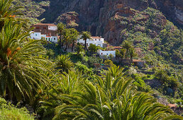 Blick über üppiges Grün auf Masca, Teno Gebirge, Teneriffa, Kanaren, Kanarische Inseln, Islas Canarias, Atlantik, Spanien, Europa
