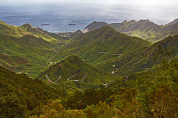 Blick über üppiges Grün bei El Bailadero Richting San Andres, Anaga Gebirge, Teneriffa, Kanaren, Kanarische Inseln, Islas Canarias, Atlantik, Spanien, Europa