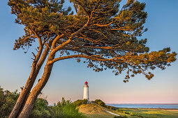 Leuchtturm, Dornbusch, Insel Hiddensee, Mecklenburg-Vorpommern, Deutschland