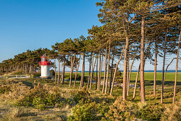 Lighthous, Gellen, Hiddensee island, Mecklenburg-Western Pomerania, Germany