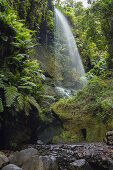 Cascada de los Tilos, Wasserfall, Barranco del Agua, Schlucht, Lorbeerwald, UNESCO Biosphärenreservat, La Palma, Kanarische Inseln, Spanien, Europa