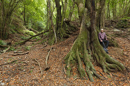 hiker, hiking tour, laurel forest, ferns, Los Tilos, Parque Natural de las Nieves, UNESCO Biosphere Reserve, La Palma, Canary Islands, Spain, Europe