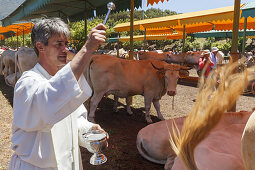 Tiersegnung, Prozession zu Ehren des Patrons San Antonio, Viehmesse in San Antonio del Monte, Region Garafia, UNESCO Biosphärenreservat,  La Palma, Kanarische Inseln, Spanien, Europa