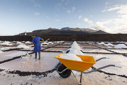 skimming off sea salt, Flor de Sal, worker, Salinas Marinas de Fuencaliente, saline, saltworks, Fuencaliente, UNESCO Biosphere Reserve, La Palma, Canary Islands, Spain, Europe