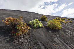 Volcan de San Antonio seen from Volcan de Teneguia, UNESCO Biosphere Reserve, La Palma, Canary Islands, Spain, Europe