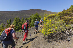 hiking, group, ascent to Birigoyo mountain, 1807m,  Parque Natural de Cumbre Vieja, UNESCO Biosphere Reserve, La Palma, Canary Islands, Spain, Europe