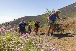 hiking, group, ascent to Birigoyo mountain, 1807m,  Parque Natural de Cumbre Vieja, UNESCO Biosphere Reserve, La Palma, Canary Islands, Spain, Europe