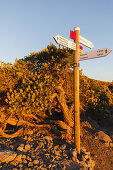 sign posts, hiking riutes, hiking, near Pico de la Cruz, crater rim, UNESCO Biosphere Reserve, La Palma, Canary Islands, Spain, Europe