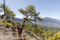 Wanderung zum Pico Bejenado, Berg 1844m, Kraterrand der Caldera de Taburiente, Parque Nacional de la Caldera de Taburiente, Nationalpark, UNESCO Biosphärenreservat,  La Palma, Kanarische Inseln, Spanien, Europa