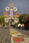 Blütenteppiche für die Prozession, Corpus Christi, Fronleichnahmsfest,Villa de Mazo, UNESCO Biosphärenreservat,  La Palma, Kanarische Inseln, Spanien, Europa