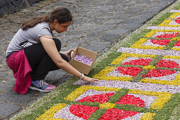 Blütenteppiche für die Prozession, Corpus Christi, Fronleichnahmsfest,Villa de Mazo, UNESCO Biosphärenreservat,  La Palma, Kanarische Inseln, Spanien, Europa