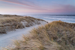 Dune, Dawn, Langeoog, North Sea, East Frisian Islands, East Frisia, Lower Saxony, Germany, Europe