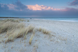 Dune, Beach, Dusk, Schillig, Wangerland, North Sea, Friesland District, Lower Saxony, Germany, Europe