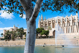 Kathedrale der Heiligen Maria, Almudaina Palast, Palma de Mallorca, Mallorca, Spanien