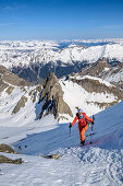Frau auf Skitour steigt zur Wilden Kreuzspitze auf, Wilde Kreuzspitze, Pfitschtal, Zillertaler Alpen, Südtirol, Italien