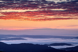 Morning mood with fog in the valley and red glowing clouds, from Feldberg, Feldberg, Black Forest, Baden-Wuerttemberg, Germany
