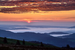 Sunrise at Feldberg with fog in the valley and red glowing clouds, Feldberg, Black Forest, Baden-Wuerttemberg, Germany