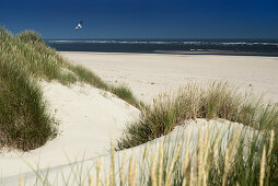 Sand Dune, Sky, Baltrum, North Sea, East Frisian Islands, East Frisia, Lower Saxony, Germany, Europe