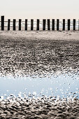 Piles on the beach, Wangerooge, East Frisia, Lower Saxony, Germany