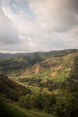 Blick von Salento in das Valle de Cocora, UNESCO Welterbe Kaffee Dreieck (Zona Cafatera), Departmento Quindio, Kolumbien, Südamerika