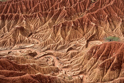surreale Landschaft in Tatacoa Wüste (Desierto de la Tatacoa), Gemeinde Villavieja bei Neiva, Departmento Huila, Kolumbien, Südamerika