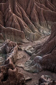 surreal landscape at Tatacoa desert (Desierto de la Tatacoa), township Villavieja nearby Neiva, Departmento Huila, Colombia, Southamerica