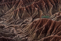 surreal landscape at Tatacoa desert (Desierto de la Tatacoa), township Villavieja nearby Neiva, Departmento Huila, Colombia, Southamerica