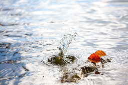 bunte Buchenblätter liegen auf einem Stein, daneben spritzt Wasser hoch