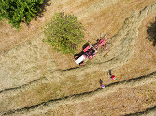 Aerial view of the hay with an old tractor and nostalgic rotor rakes in a orchards with rake, helpers are waiting for your use