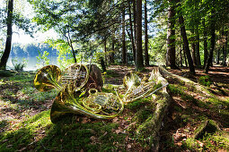 drei Blechblasinstrumente / Waldhörner liegen auf Baumstöcken und Moos im Wald an einem See