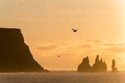 sunrise at Reynisdrangar-cliffs, Vic, southcoast, Iceland