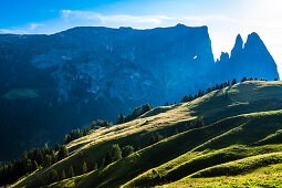 Hochebene mit Schlern Gebirge, Compatsch, Seiser Alm, Südtirol, Italien