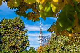 Fernsehturm, Herbst bei Planten un Blomen, Hamburg, Deutschland