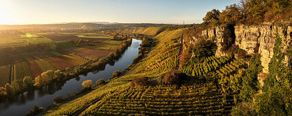 der Neckar fließt entlang der Weinberge, Hessigheimer Felsengärten, Hessigheim, Landkreis Ludwigsburg, Baden-Württemberg, Deutschland