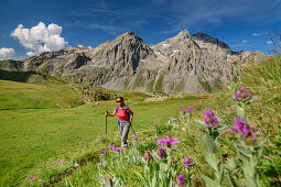 Woman hiking through meadow with flowers with Grand Galibier in background, at lake Lac Cerces, Dauphine, Dauphiné, Hautes Alpes, France