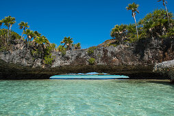 A low stone arch over turquoise water and covered by trees and plants connects two segments of an island, Fulaga Island, Lau Group, Fiji, South Pacific