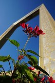 Dubai Frame, Plants, Flowers, Zaabel Park, Dubai, UAE, United Arab Emirates