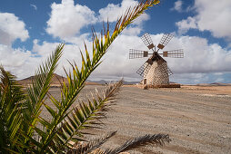 Windmühle, Tefia, Puerto del Rosario, Fuerteventura, Spanien, Europa