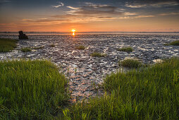 salt marsh, wadden sea, sunset, Dangast, Varel, Friesland - district, Lower Saxony, Germany, Europe