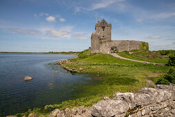 The ruins of Dunguaire Castle sits on the very edge of a bay on the Atlantic Ocean, Dungnaire Castle, County Galway, Ireland, Europe