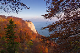 View to the Königsstuhl, Jasmund National Park, Rügen, Baltic Sea, Mecklenburg-Vorpommern, Germany