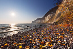 Chalk cliffs, Jasmund National Park, Rügen, Baltic Sea, Mecklenburg-Vorpommern, Germany