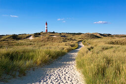 Path to the beach, Lighthouse, Amrum, North Sea, Schleswig-Holstein, Germany