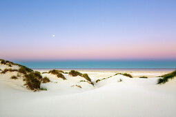 Vollmond, Kniepsand auf Amrum, Nordsee, Schleswig-Holstein, Deutschland