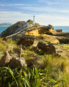 Castle Point Leuchtturm, Sandstein, Wellington, Nordinsel, Neuseeland, Ozeanien