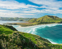 Allans Beach vom Sandymount Recreation Reserve, Otago, Südinsel, Neuseeland, Ozeanien