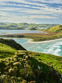 Allans Beach vom Sandymount Recreation Reserve, Otago, Südinsel, Neuseeland, Ozeanien