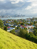 Auckland from Mt. Victoria, Auckland, North Island, New Zealand, Oceania