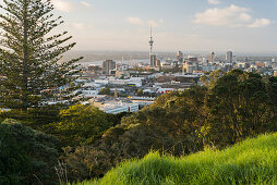 View from Mount Eden over Auckland, North Island, New Zealand, Oceania